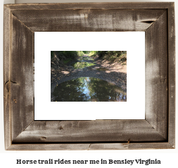 horse trail rides near me in Bensley, Virginia